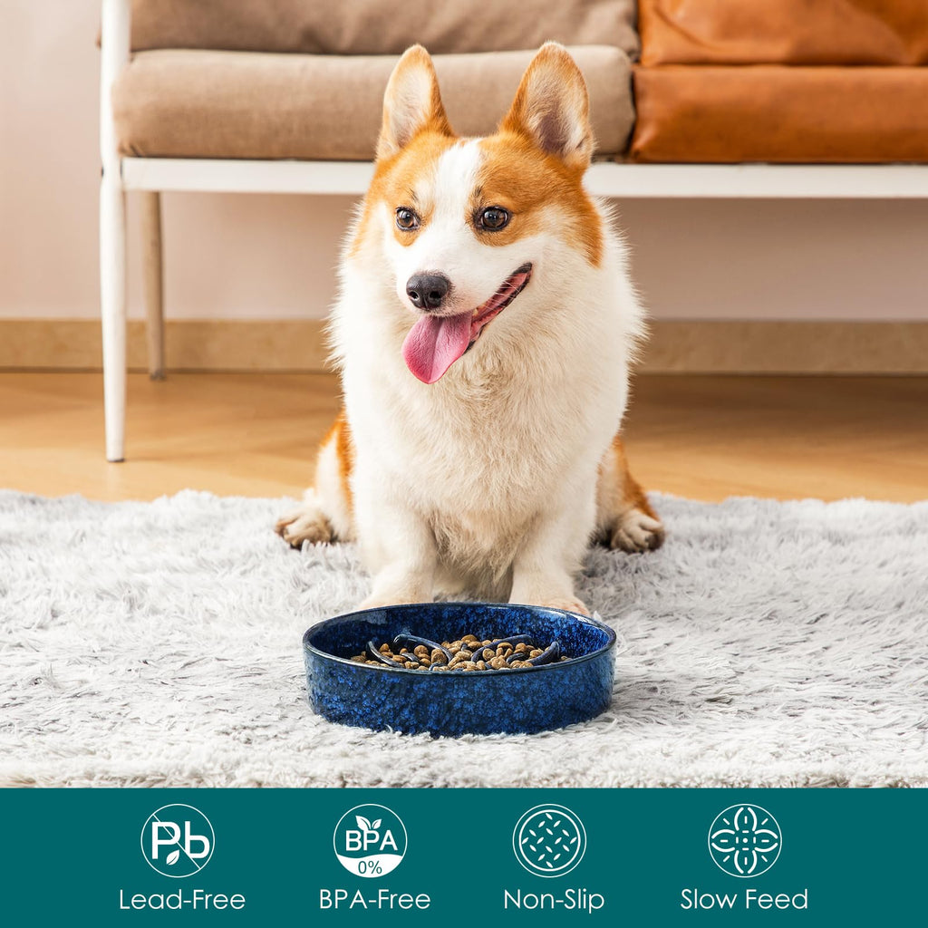 vancasso Ceramic Slow Feeder Dog Bowls, Puzzle Dog Food Bowls with Floral Maze, Anti -Slip Pet Food Dish for Small Breed, 0.6 Cups, Pink