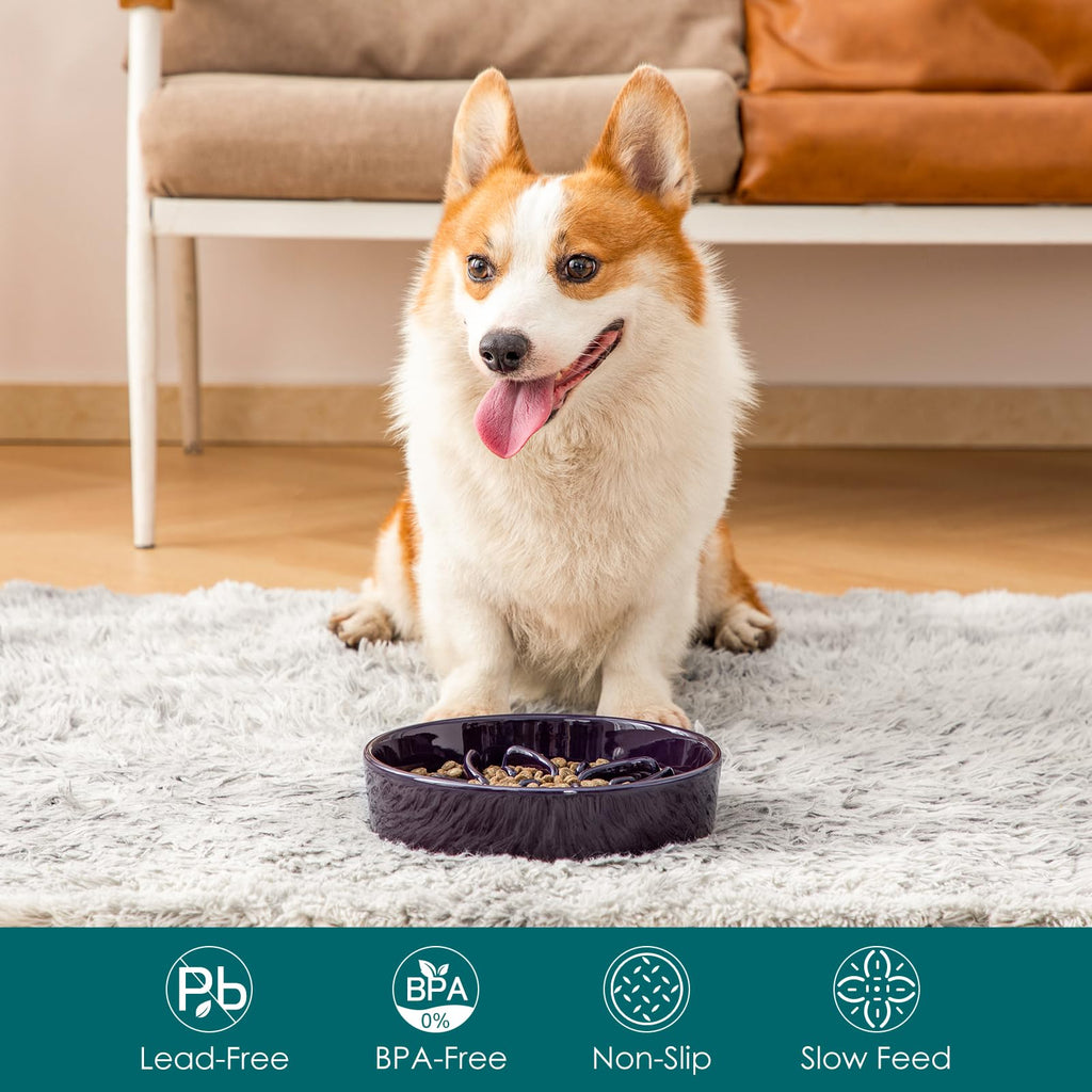 vancasso Ceramic Slow Feeder Dog Bowls, Puzzle Dog Food Bowls with Floral Maze, Anti -Slip Pet Food Dish for Small Breed, 0.6 Cups, Pink