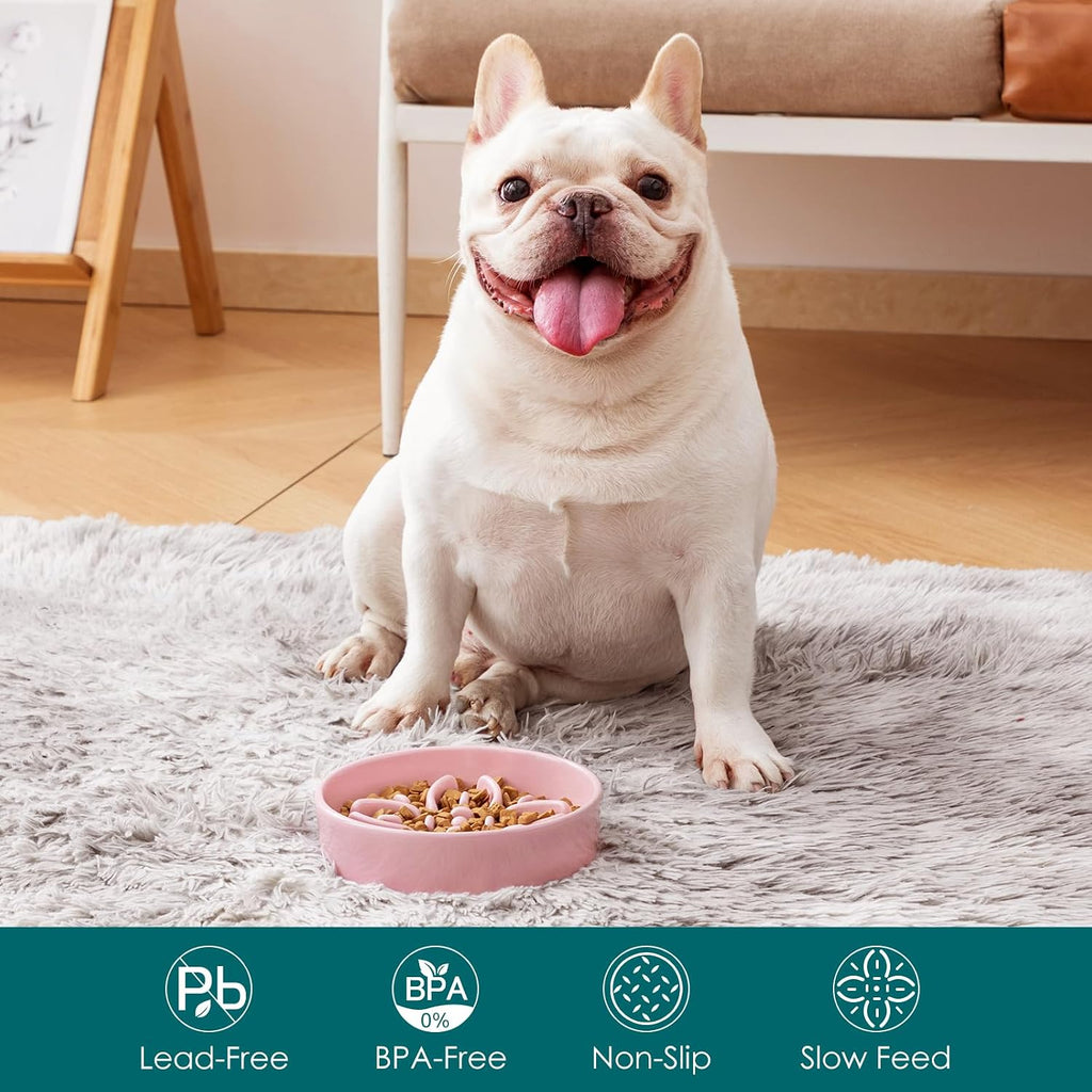 vancasso Ceramic Slow Feeder Dog Bowls, Puzzle Dog Food Bowls with Floral Maze, Anti -Slip Pet Food Dish for Small Breed, 0.6 Cups, Pink