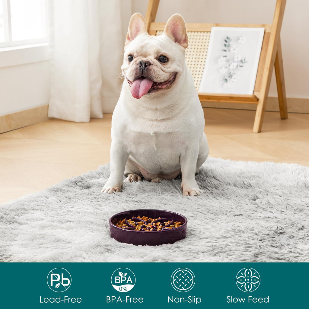 vancasso Ceramic Slow Feeder Dog Bowls, Puzzle Dog Food Bowls with Floral Maze, Anti -Slip Pet Food Dish for Small Breed, 0.6 Cups, Pink